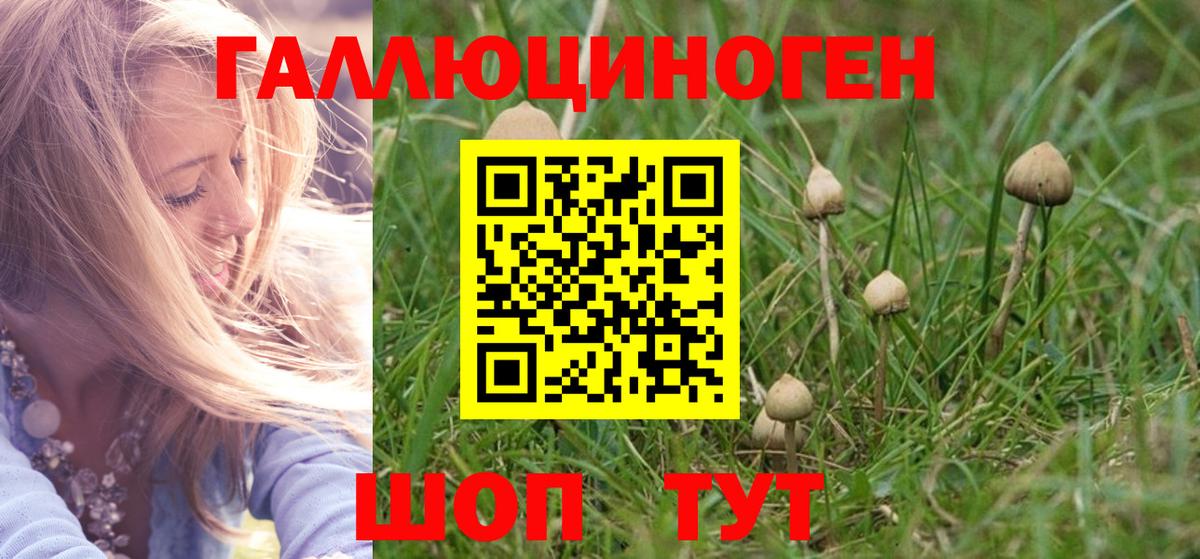 Первоуральск  Псилоцибиновые грибы Magic Shrooms  Вход с VPN  Галлюциногенные грибы мухоморы 