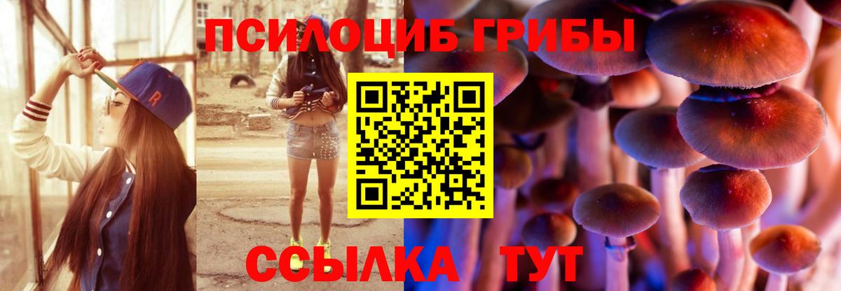 Псилоцибиновые грибы Magic Shrooms Первоуральск